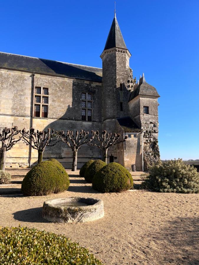 Maisons D'Hotes Du Chateau Au Grand Pressigny Le Grand-Pressigny Esterno foto